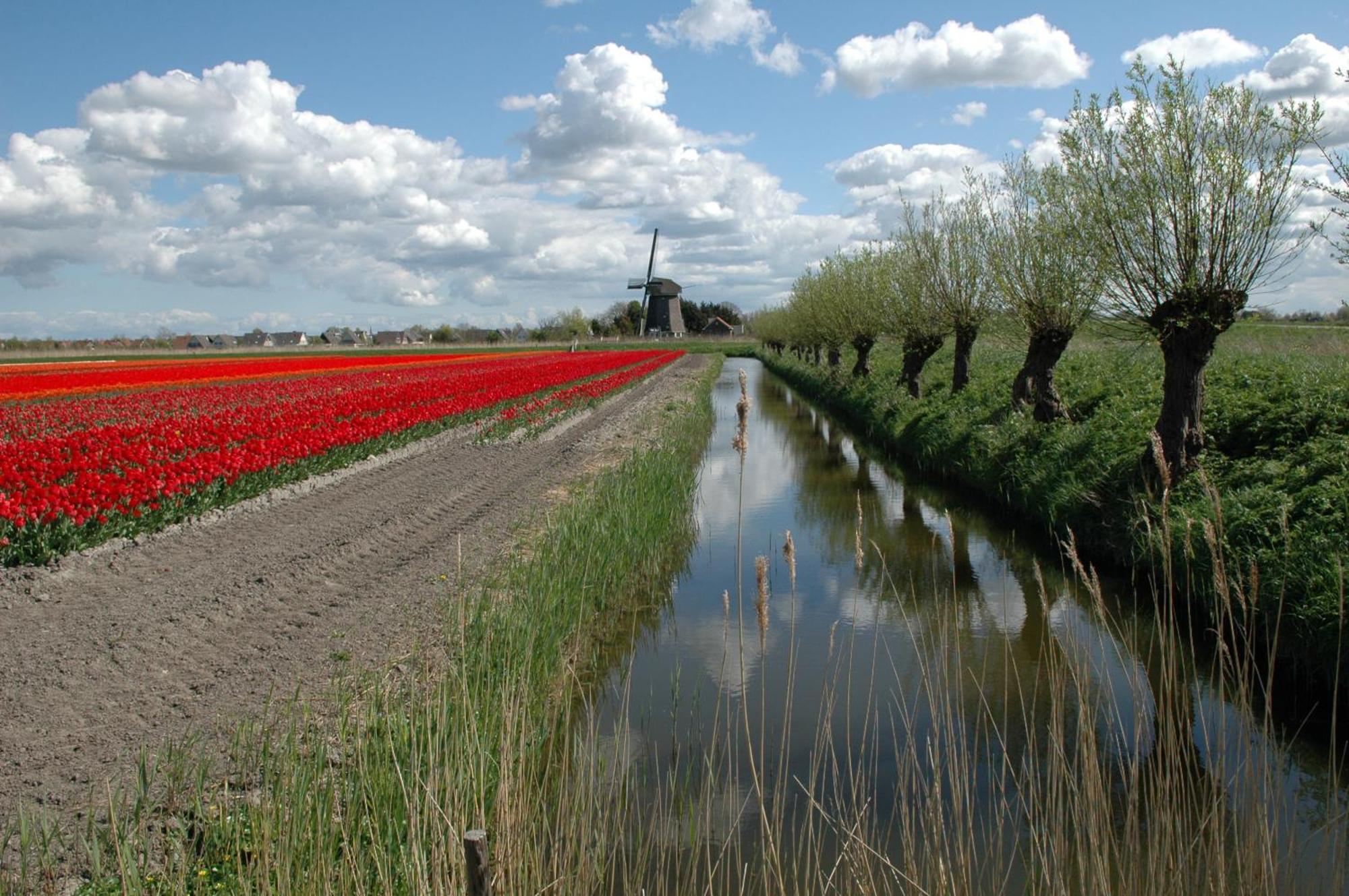 Hotelhuisjes Medemblik 비어링거워프 외부 사진